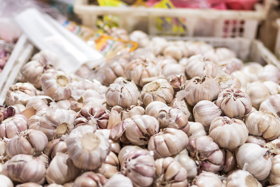 How to grow your own Garlic